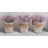 Декори - DECOR MAX 30*60  + 52.90лв. 